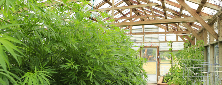 Security Solutions for Apartments in Boone, NC